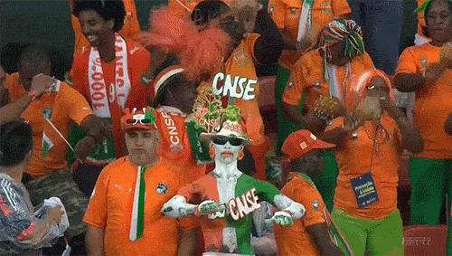 ivory-coast-fan